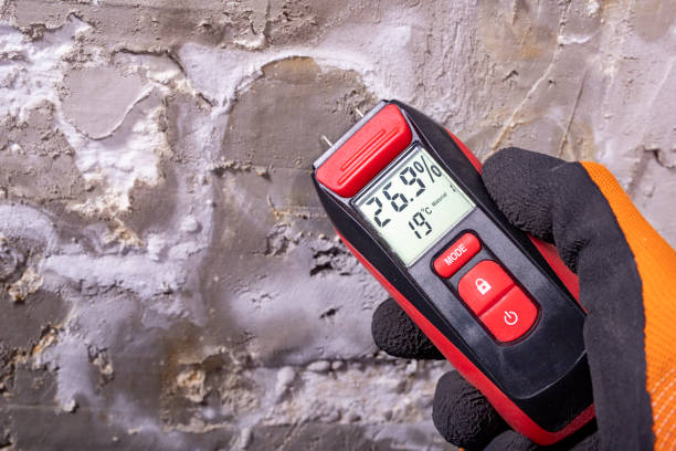 Best Professional Mold Removal  in Mountain Green, UT